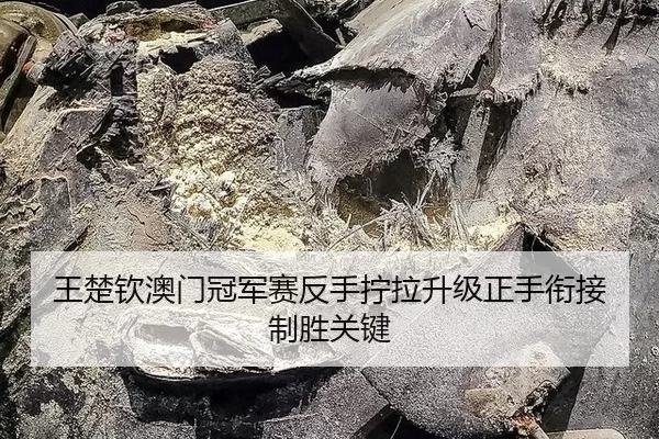 王楚钦澳门冠军赛反手拧拉升级正手衔接制胜关键