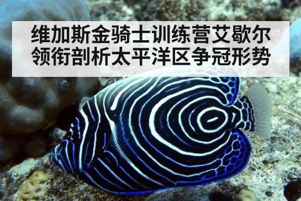 维加斯金骑士训练营艾歇尔领衔剖析太平洋区争冠形势